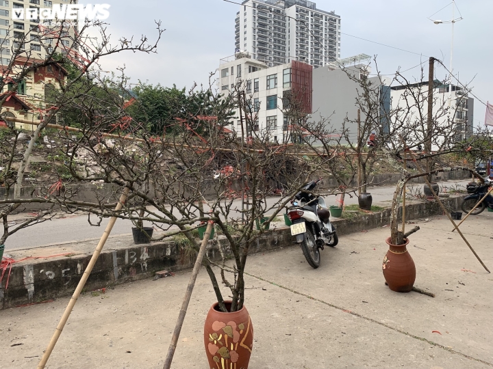 Đặc sản Tây Bắc đổ bộ, phố phường Hà Nội bừng sắc xuân - Ảnh 4.