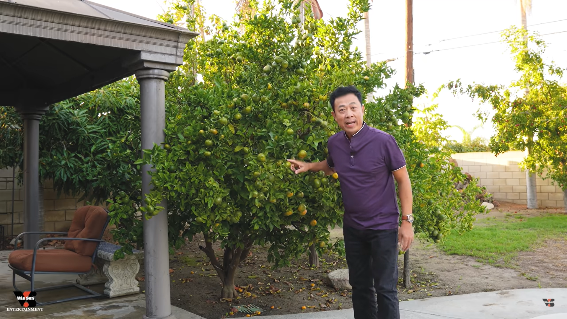 Danh hài Vân Sơn khoe vườn cây hàng trăm mét vuông, trĩu quả trong biệt thự tại Mỹ - Ảnh 3.