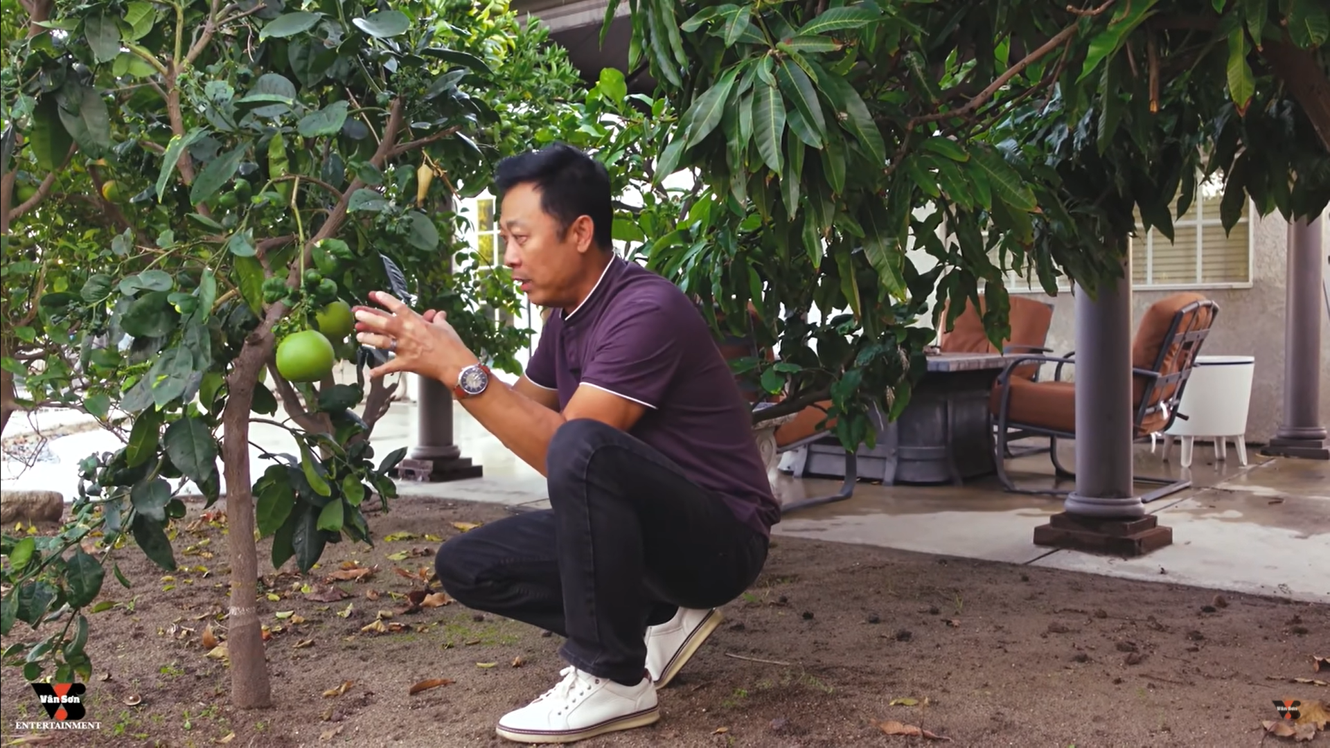 Danh hài Vân Sơn khoe vườn cây hàng trăm mét vuông, trĩu quả trong biệt thự tại Mỹ - Ảnh 4.