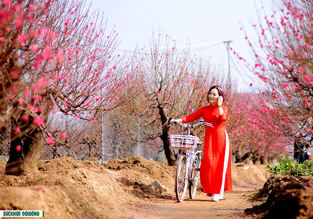 Cô gái Hà thành xúng xính áo dài “đọ sắc” bên vườn đào Nhật Tân - Ảnh 4.
