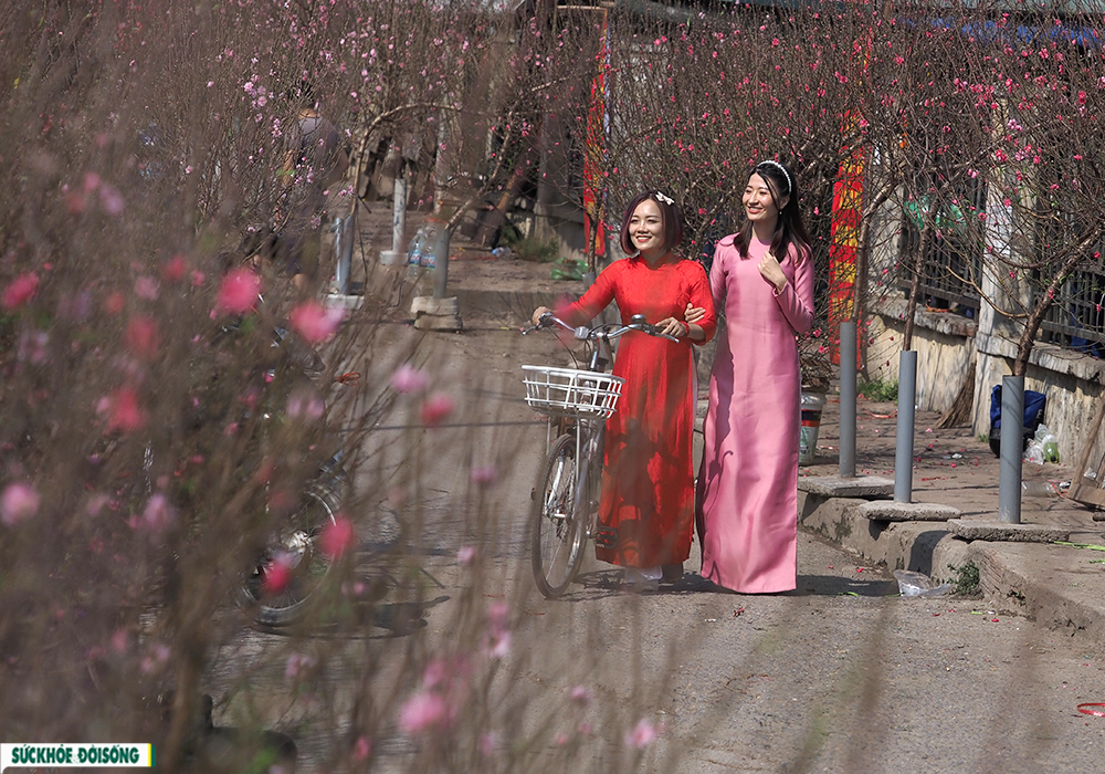 Cô gái Hà thành xúng xính áo dài “đọ sắc” bên vườn đào Nhật Tân - Ảnh 5.