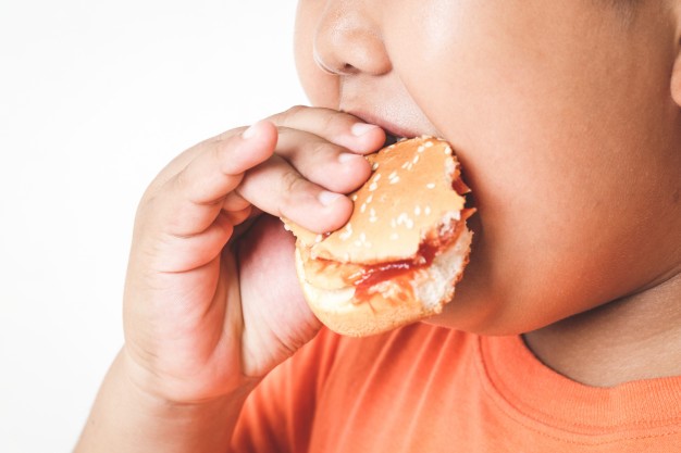 Điểm mặt những thực phẩm có thể gây dậy thì sớm ở trẻ - Ảnh 1.
