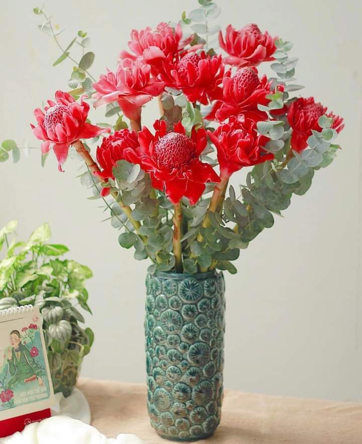 Hoa sen cạn: Hãy thưởng thức hình ảnh tuyệt đẹp về hoa sen cạn, một loài hoa thiêng liêng của Việt Nam, với sắc hồng tươi tắn đầy gợi cảm, sẽ khiến bạn cảm thấy như đang ngắm nhìn một kiệt tác thiên nhiên.