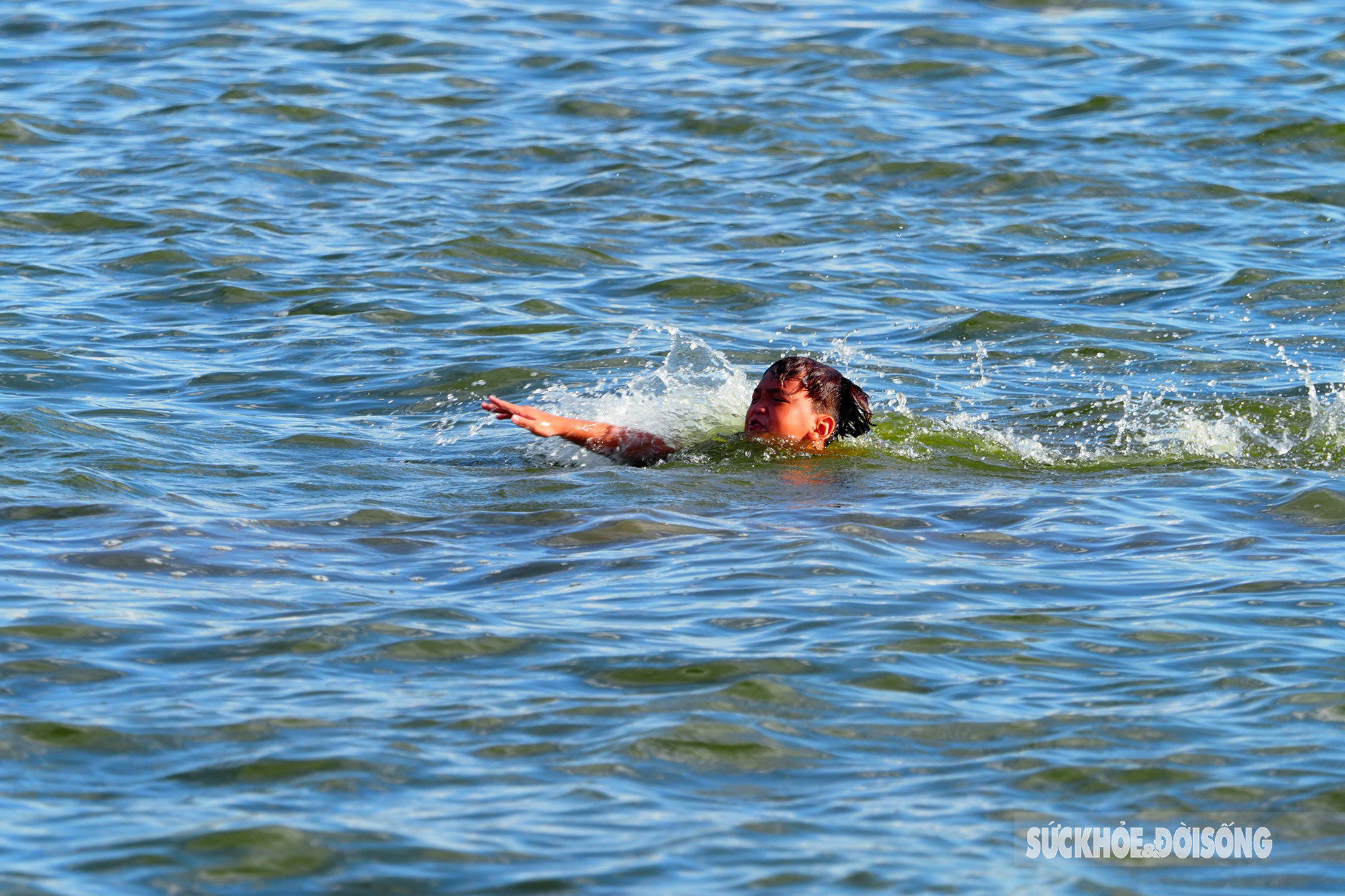 Nắng, nóng 40 độ C, người lớn trẻ em lẫn thú cưng cùng kéo nhau ra &quot;biển&quot; Hồ Tây hạ nhiệt - Ảnh 4.