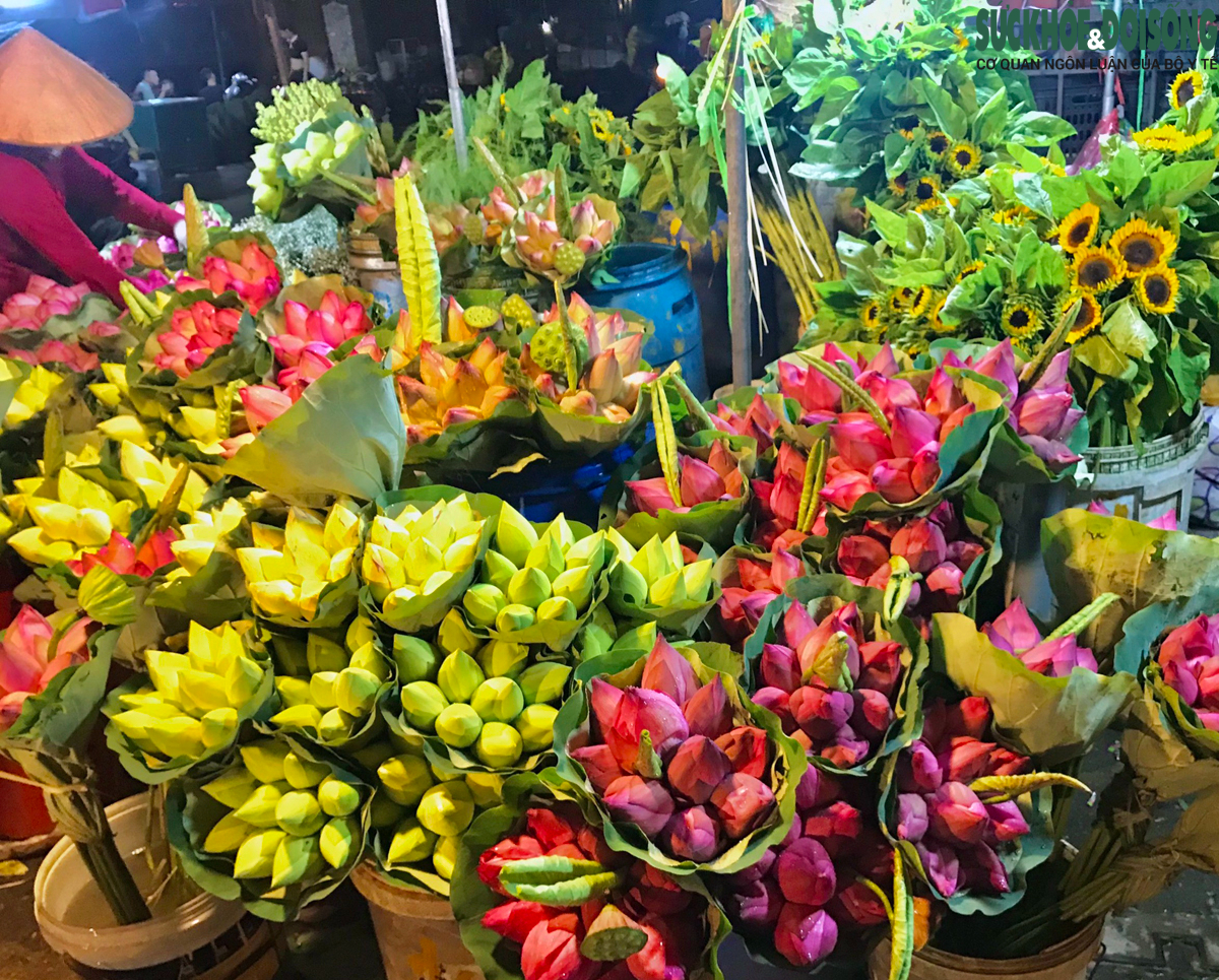 Nhịp sống chợ hoa Quảng An lúc rạng sáng khi Hà Nội bước vào đỉnh điểm nắng nóng - Ảnh 3.