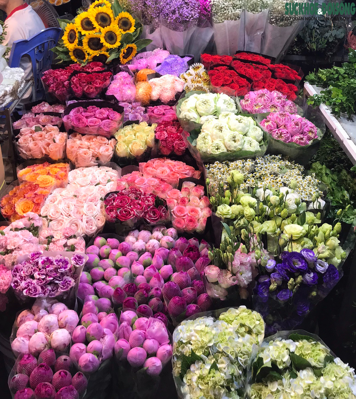 Nhịp sống chợ hoa Quảng An lúc rạng sáng khi Hà Nội bước vào đỉnh điểm nắng nóng - Ảnh 5.
