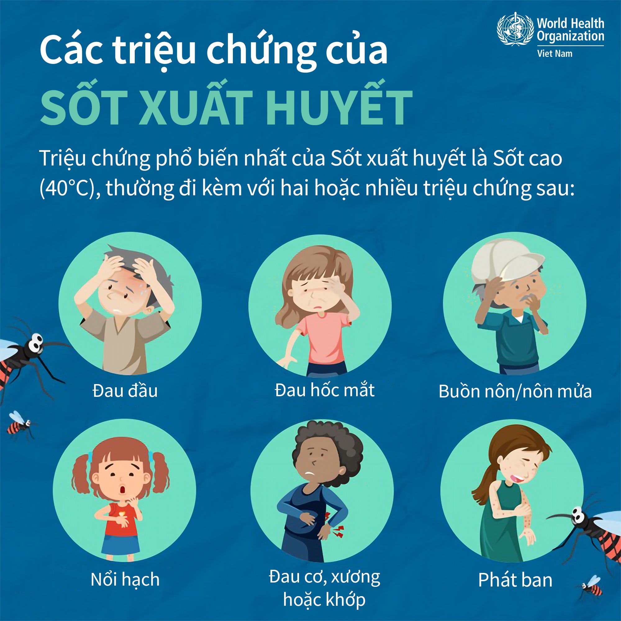Sốt xuất huyết tăng ở Hà Nội, cảnh giác với sốt xuất huyết không triệu chứng điển hình - Ảnh 2.