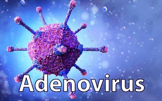 Phân biệt dấu hiệu mắc Adenovirus với bệnh cảm cúm thông thường - Ảnh 2.