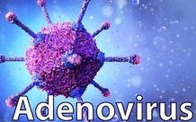 Không xét nghiệm tràn lan Adenovirus ở trẻ em