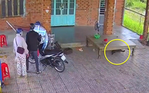 Quá táo tợn: Đôi nam nữ vào nhà dân trộm cắp xe máy giữa ban ngày, ngang nhiên xua đuổi cả "bảo vệ"